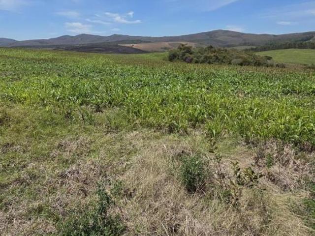 Fazenda / Sítios / Chácaras à venda em Andrelândia, no bairro Zona Rural