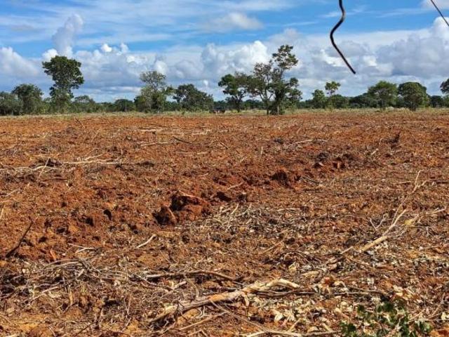 Fazenda / Sítios / Chácaras à venda em Arinos, no bairro Área Rural