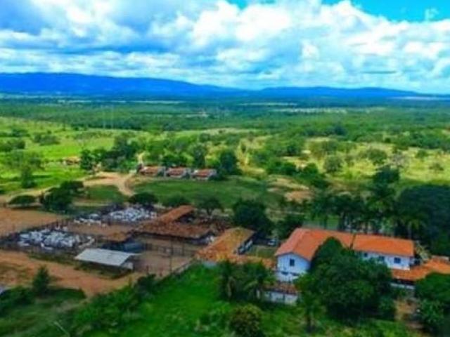 Fazenda / Sítios / Chácaras à venda em Buenópolis, no bairro Zona Rural