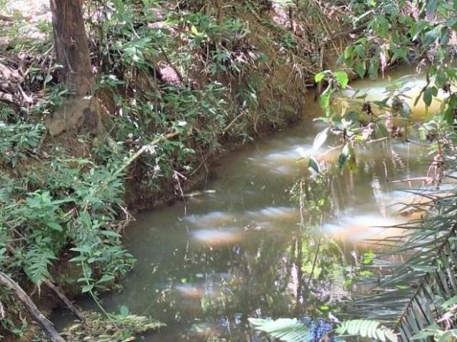 Fazenda / Sítios / Chácaras à venda em Baldim, no bairro 35732 000
