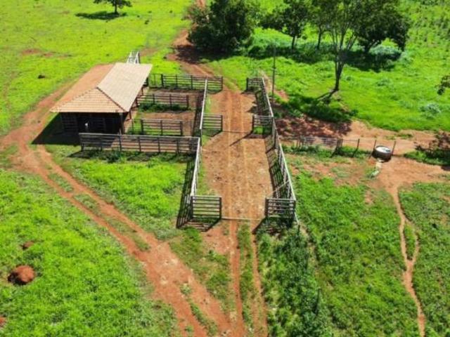 Fazenda / Sítios / Chácaras à venda em Bocaiúva, no bairro Área Rural