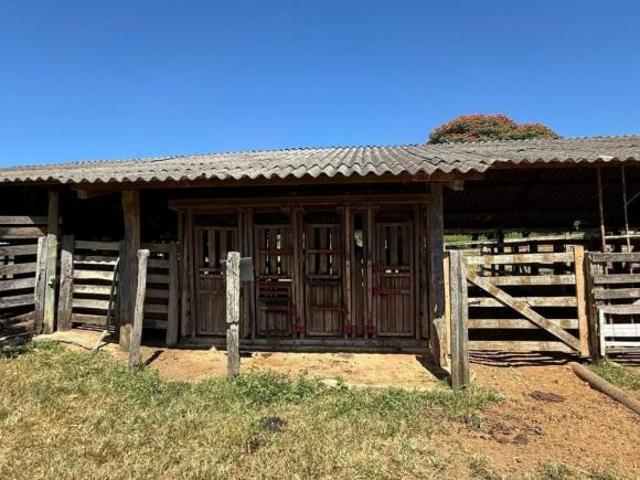 Fazenda / Sítios / Chácaras à venda em Bom Despacho, no bairro Área Rural De Bom Despacho