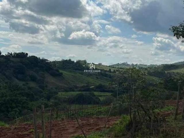 Fazenda / Sítios / Chácaras à venda em Bonfim, no bairro Juliões