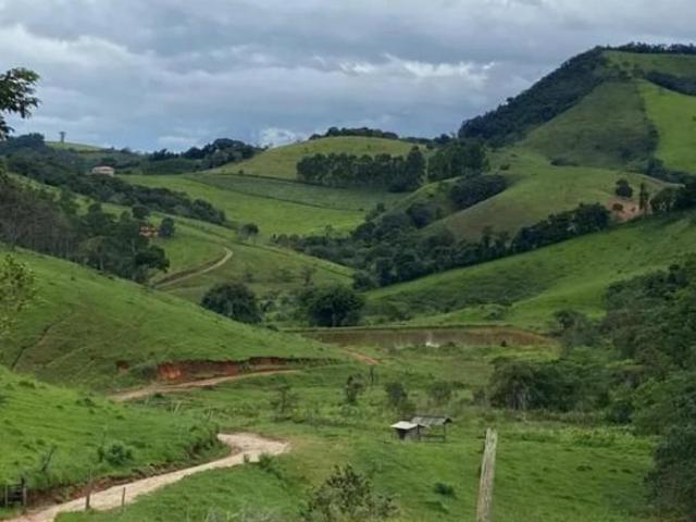 Fazenda / Sítios / Chácaras à venda em Borda Da Mata, no bairro Área Rural