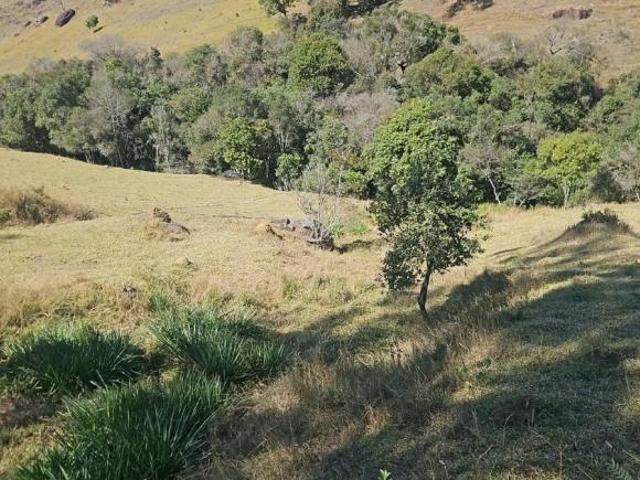 Fazenda / Sítios / Chácaras à venda em Borda Da Mata, no bairro Boa Vista