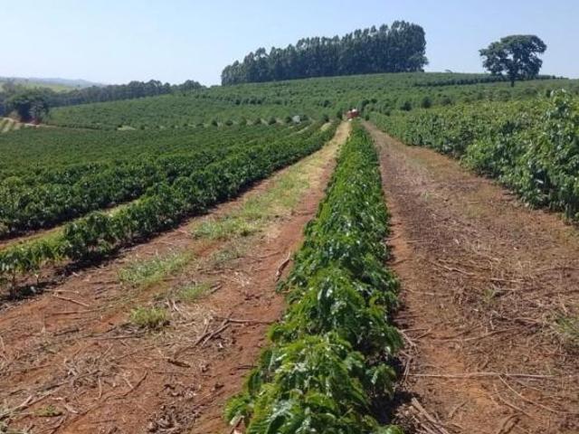 Fazenda / Sítios / Chácaras à venda em Botelhos, no bairro Zona Rural