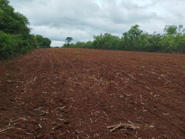 Fazenda / Sítios / Chácaras à venda em Curvelo, no bairro Área Rural De Curvelo