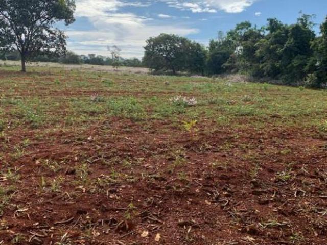 Fazenda / Sítios / Chácaras à venda em Curvelo, no bairro Área Rural De Curvelo