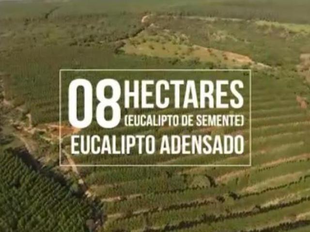 Fazenda / Sítios / Chácaras à venda em Curvelo, no bairro Trevão Curvelo
