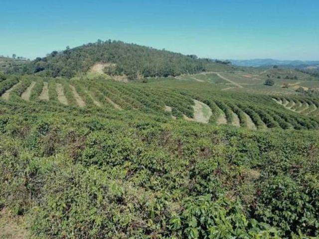 Fazenda / Sítios / Chácaras à venda em Caconde, no bairro Área Rural De Caconde