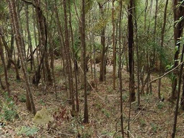 Fazenda / Sítios / Chácaras à venda em Caeté, no bairro Antonio Dos Santos