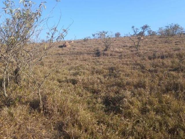 Fazenda / Sítios / Chácaras à venda em Cambuquira, no bairro Zona Rural