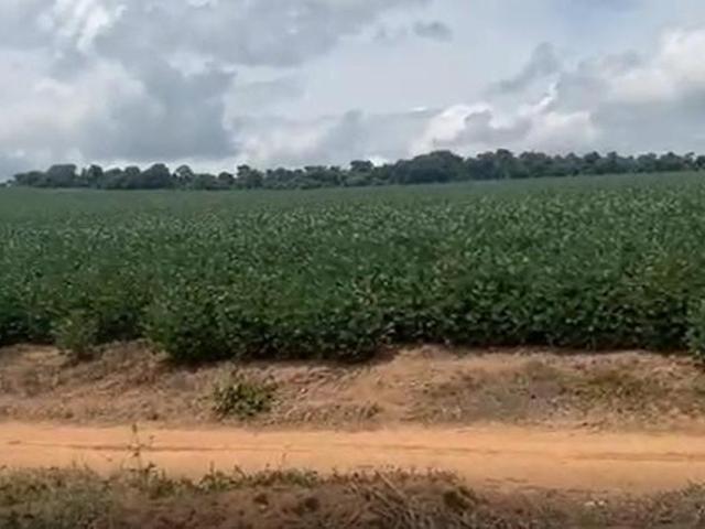 Fazenda / Sítios / Chácaras à venda em Campo Belo, no bairro Porto Dos Mendes