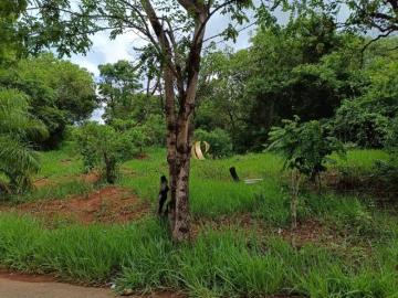 Fazenda / Sítios / Chácaras à venda em Capim Branco, no bairro Represa