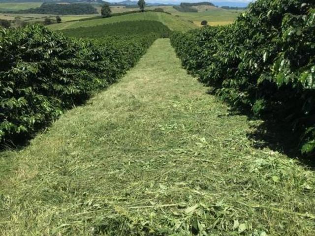 Fazenda / Sítios / Chácaras à venda em Carmo De Minas, no bairro Zona Rural
