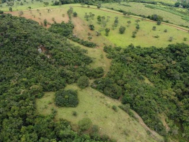 Fazenda / Sítios / Chácaras à venda em Carmópolis De Minas, no bairro Zona Rural