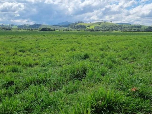 Fazenda / Sítios / Chácaras à venda em Careaçu, no bairro Centro