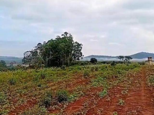 Fazenda / Sítios / Chácaras à venda em Careaçu, no bairro Zona Rural