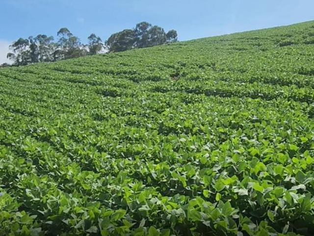 Fazenda / Sítios / Chácaras à venda em Careaçu, no bairro Zona Rural