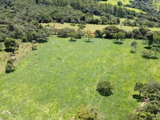 Fazenda / Sítios / Chácaras à venda em Cláudio, no bairro Zona Rural