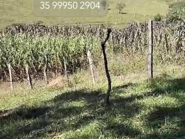 Fazenda / Sítios / Chácaras à venda em Conceição Do Rio Verde, no bairro Zona Rural
