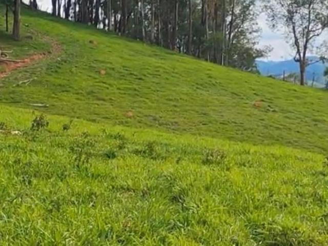 Fazenda / Sítios / Chácaras à venda em Conceição Do Rio Verde, no bairro Zona Rural