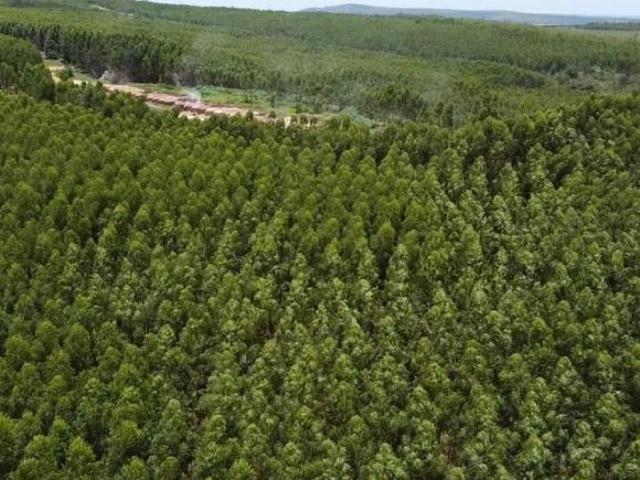 Fazenda / Sítios / Chácaras à venda em Cordisburgo, no bairro 35780 000