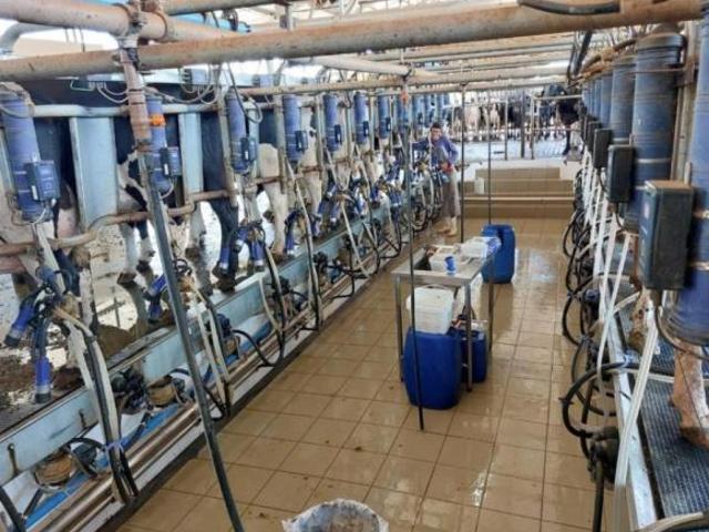 Fazenda / Sítios / Chácaras à venda em Cordisburgo, no bairro Zona Rural