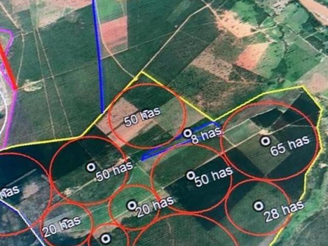 Fazenda / Sítios / Chácaras à venda em Corinto, no bairro Centro