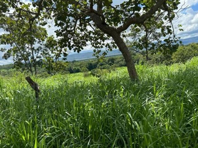 Fazenda / Sítios / Chácaras à venda em Corinto, no bairro Zona Rural