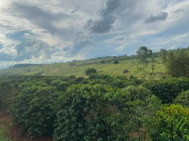 Fazenda / Sítios / Chácaras à venda em Elói Mendes, no bairro Zona Rural