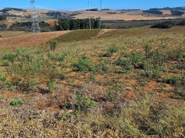 Fazenda / Sítios / Chácaras à venda em Espírito Santo Do Dourado, no bairro Zona Rural