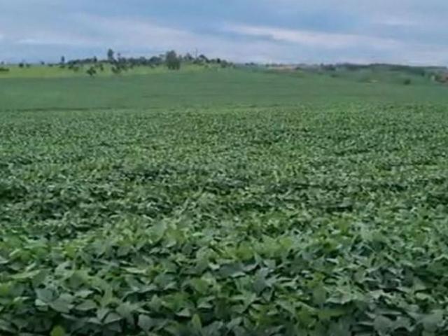 Fazenda / Sítios / Chácaras à venda em Formiga, no bairro Área Rural De Formiga