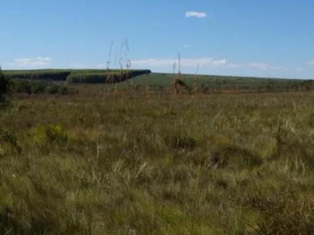 Fazenda / Sítios / Chácaras à venda em Francisco Dumont, no bairro Zona Rural