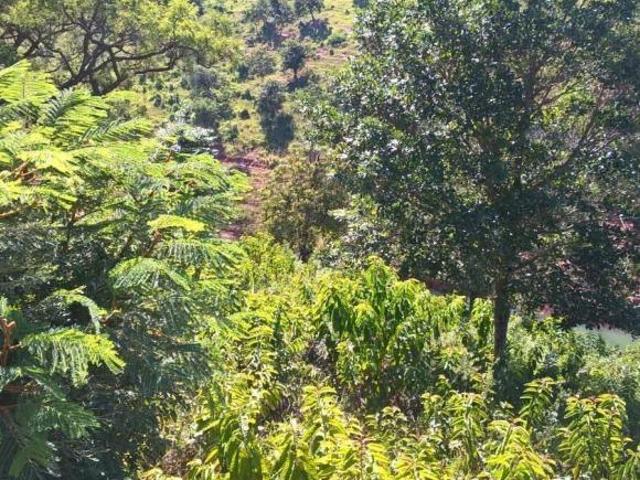 Fazenda / Sítios / Chácaras à venda em Guapé, no bairro Guapé