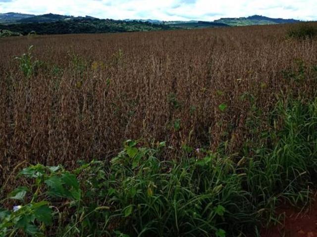 Fazenda / Sítios / Chácaras à venda em Guaxupé, no bairro Área Rural De Guaxupé