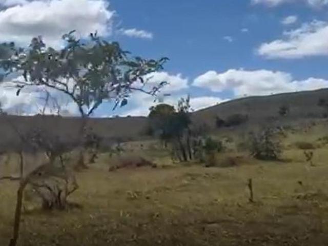 Fazenda / Sítios / Chácaras à venda em Gouveia, no bairro Zona Rural