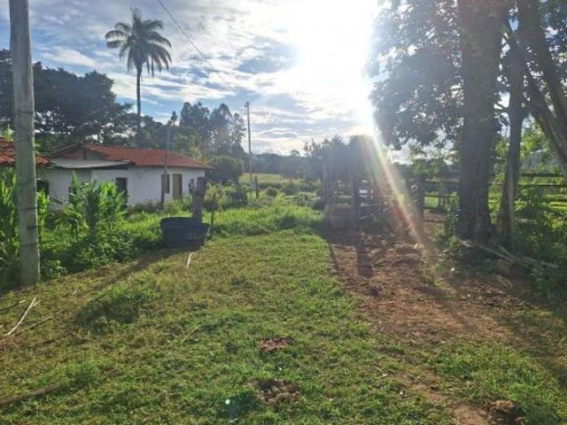 Fazenda / Sítios / Chácaras à venda em Itamarandiba, no bairro Várzea De Santo Antonio