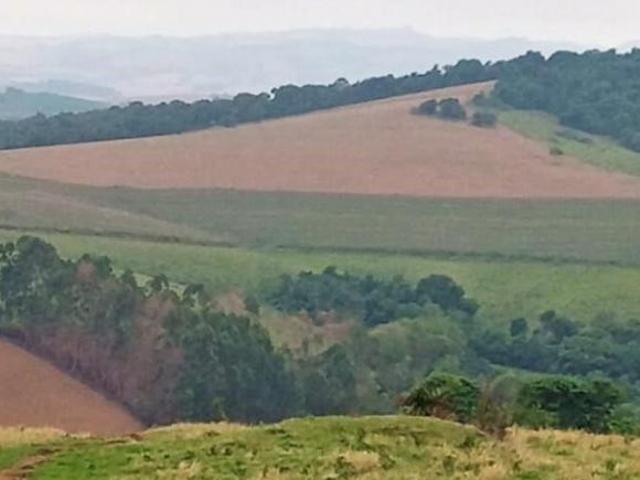 Fazenda / Sítios / Chácaras à venda em Ipuiúna, no bairro Zona Rural
