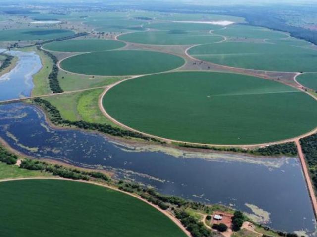 Fazenda / Sítios / Chácaras à venda em Jussara, no bairro Jussara