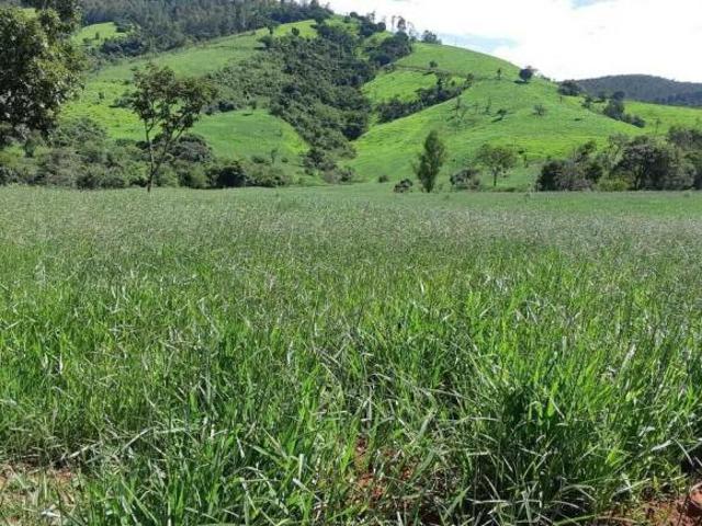 Fazenda / Sítios / Chácaras à venda em Jacutinga, no bairro Zona Rural