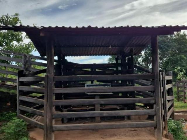 Fazenda / Sítios / Chácaras à venda em Januária, no bairro Zona Rural