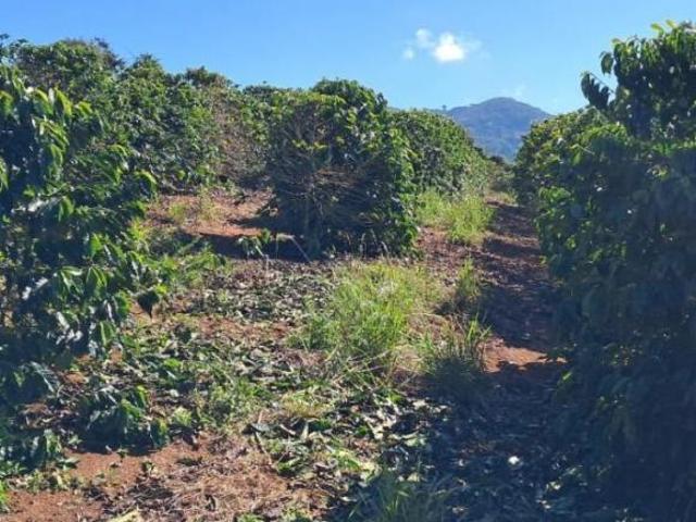 Fazenda / Sítios / Chácaras à venda em Jesuânia, no bairro Zona Rural