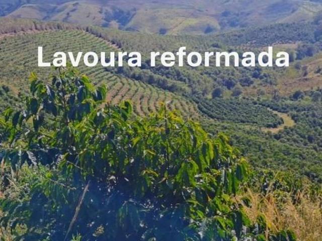 Fazenda / Sítios / Chácaras à venda em Jesuânia, no bairro Zona Rural