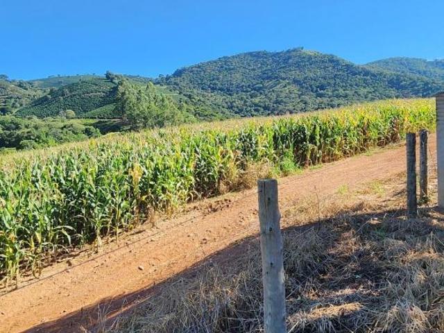 Fazenda / Sítios / Chácaras à venda em Lambari, no bairro Zona Rural