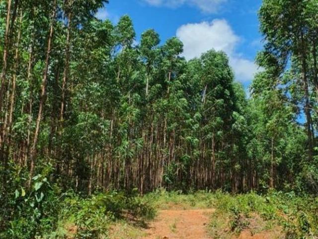 Fazenda / Sítios / Chácaras à venda em Lassance, no bairro Zona Rural