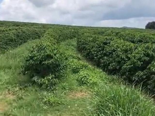 Fazenda / Sítios / Chácaras à venda em Lavras, no bairro Área Rural De Lavras