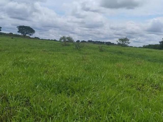 Fazenda / Sítios / Chácaras à venda em Lavras, no bairro Área Rural De Lavras