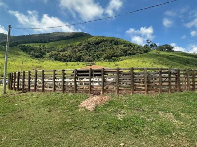 Fazenda / Sítios / Chácaras à venda em Lima Duarte, no bairro Zona Rural