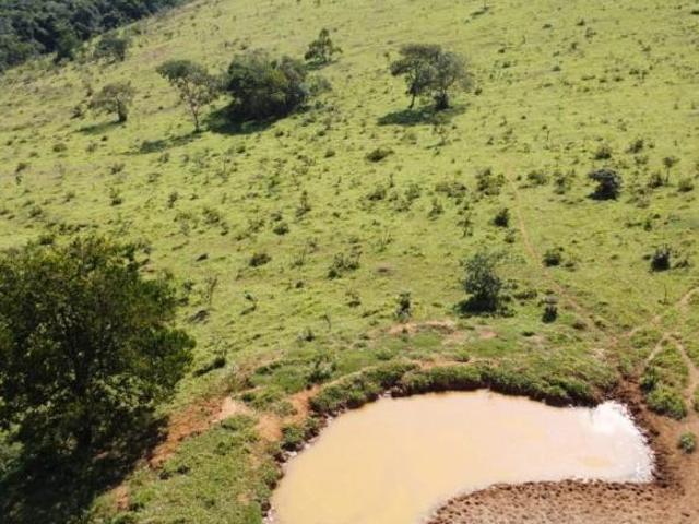 Fazenda / Sítios / Chácaras à venda em Passa Tempo, no bairro Zona Rural